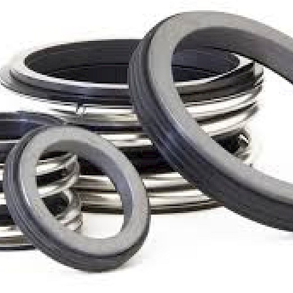 Bellow Mech Seals